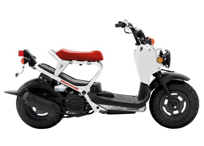 ฮอนด้า Ruckus 2020 สีขาว