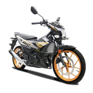 Raider R150 FI