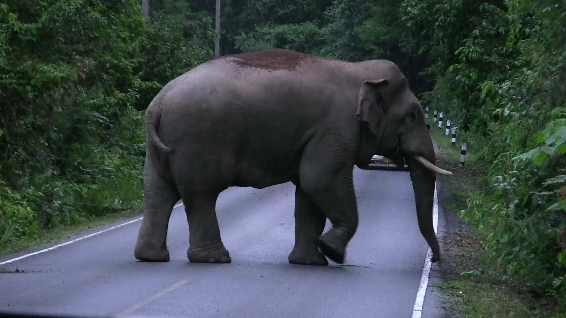 ภาพประกอบ ขับขี่ยังไงให้ปลอดภัย